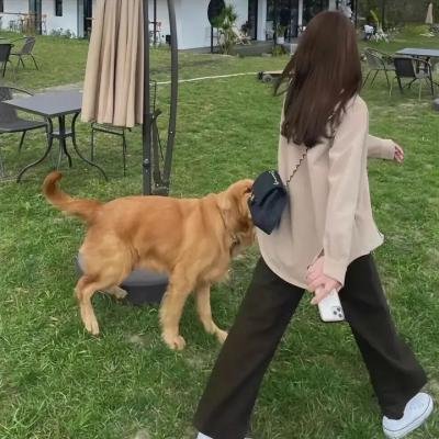 小鸟总动员